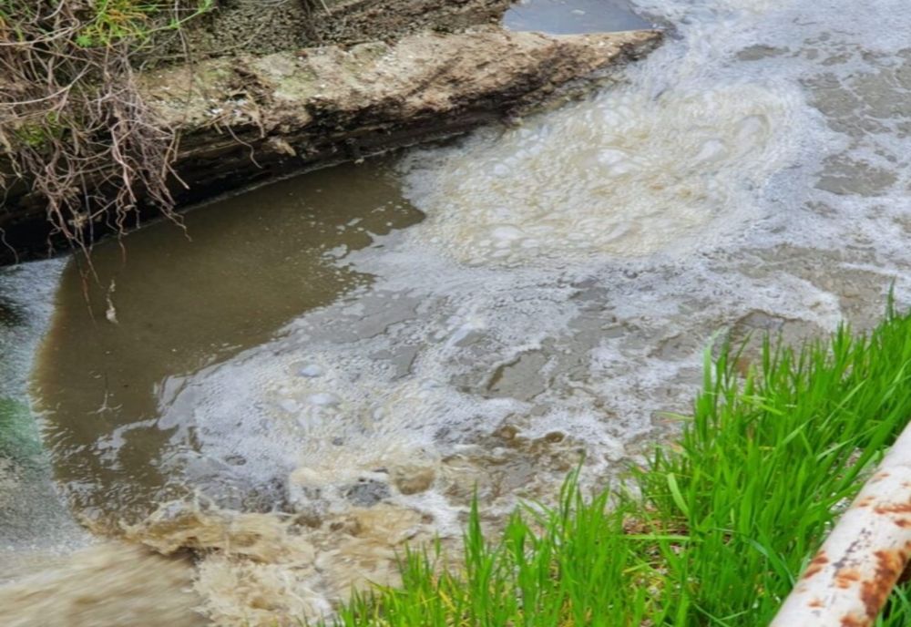 Două incidente de mediu in Neamț