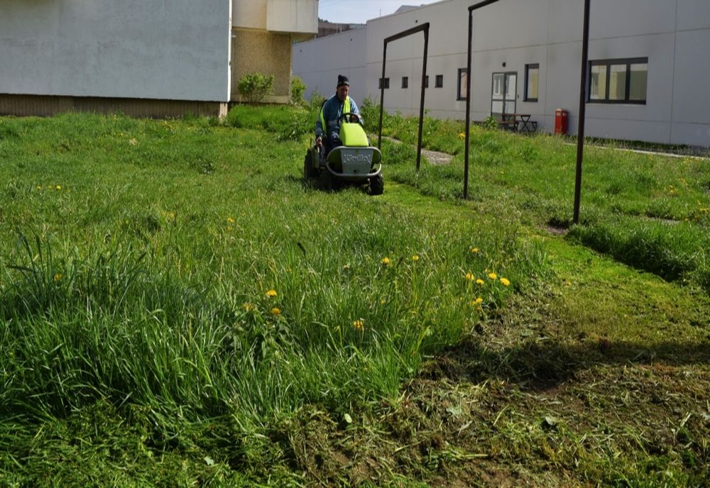 A început cositul în Piatra-Neamț