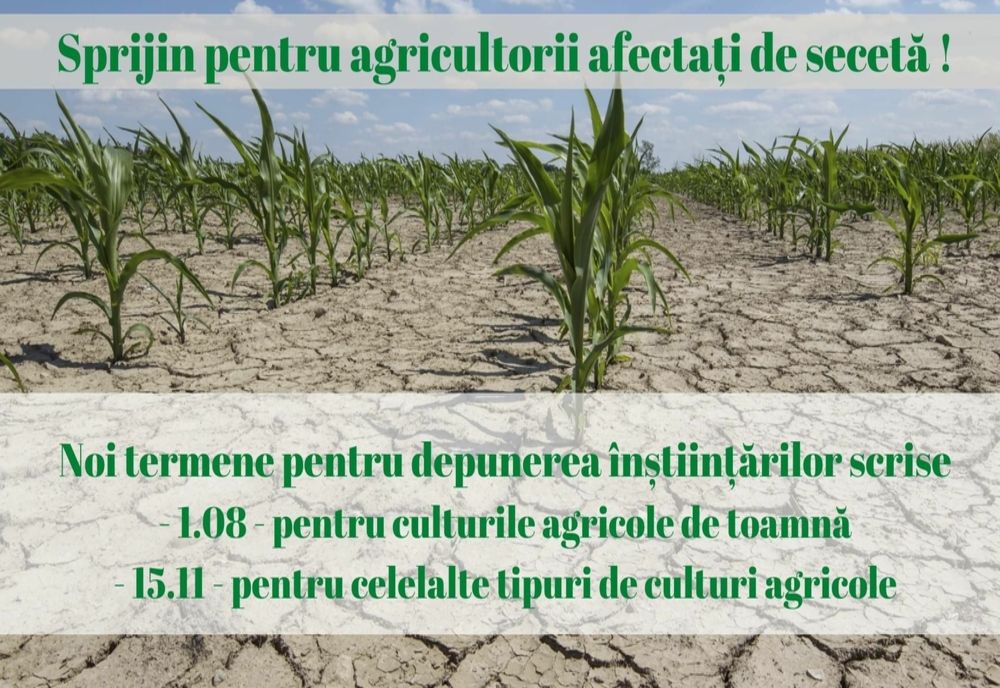 Sprijin pentru agricultorii din Neamț afectați de secetă