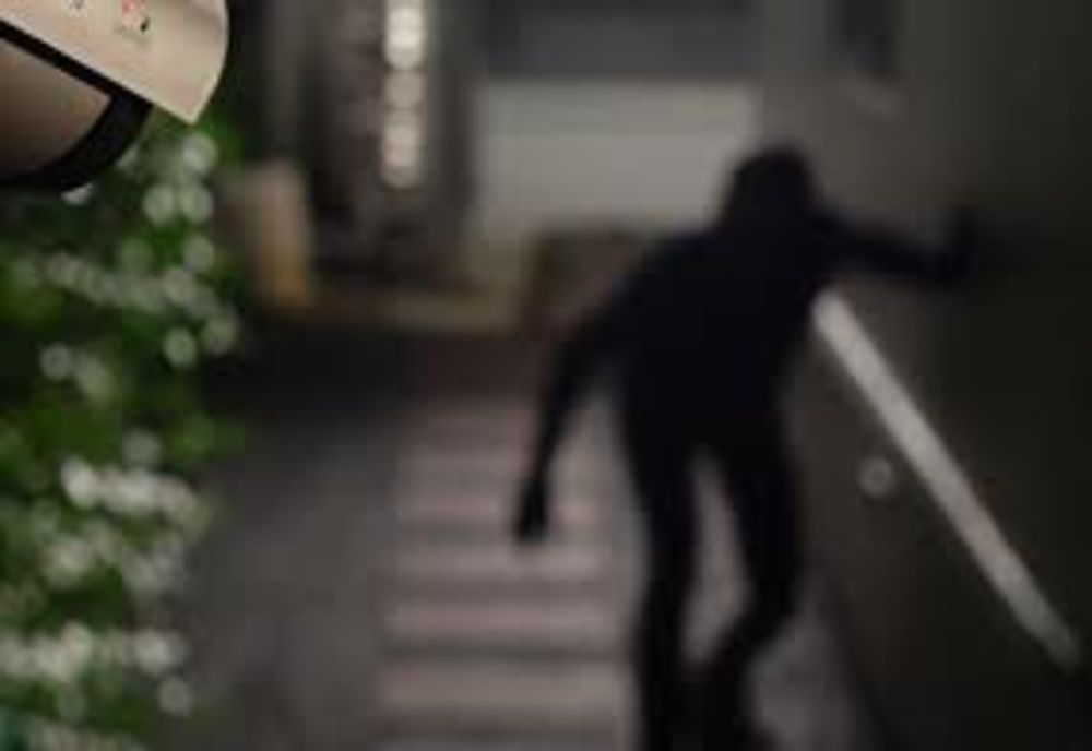 Tâlhărit pe o stradă din Piatra-Neamț