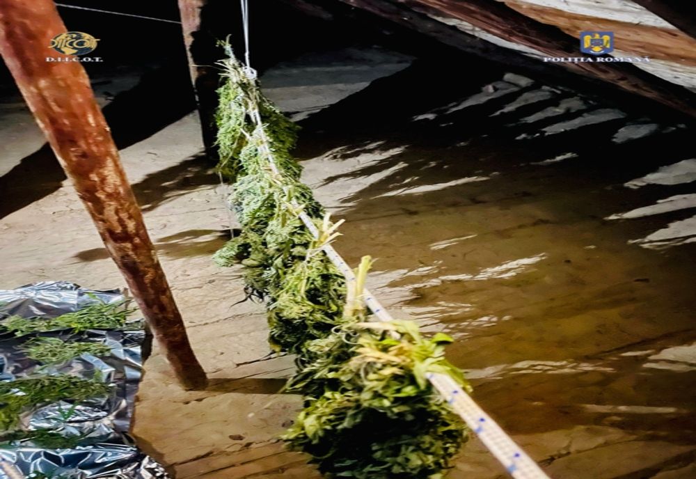 PERCHEZIȚII ÎNTR-UN DOSAR DE TRAFIC DE DROGURI