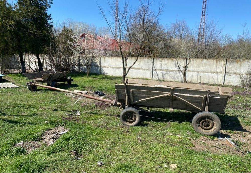 Bătaie în fața unui bar din cauza cailor putere... de la căruțe