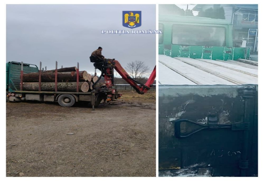 Prinși transportând material lemnos fără documente
