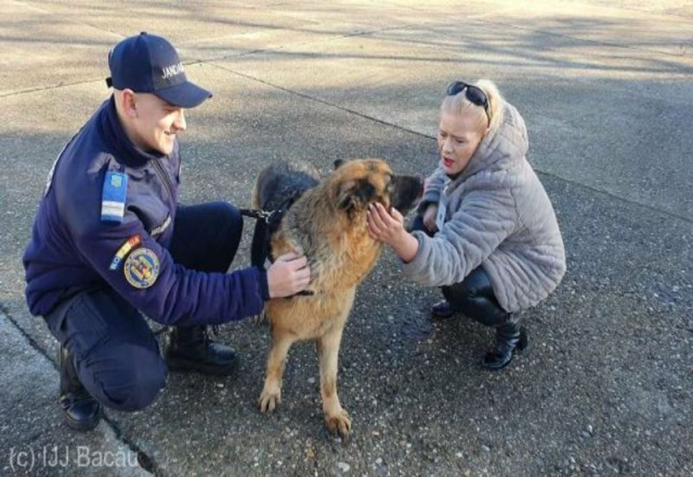 Familie nouă pentru căţeluşa Inspectoratului Judeţean de Jandarmi