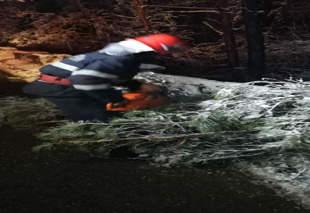 Copaci căzuți pe carosabil, îndepărtați de pompieri