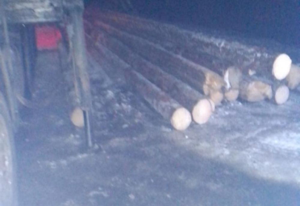 Depistat transportând o cantitate de material lemnos mai mare decât cea precizată în documentele de transport