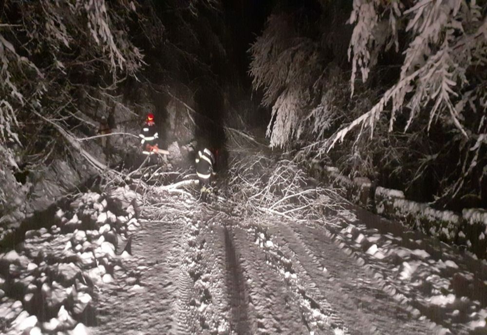 Ninsorile abundente și viscolul fac ravagii în țară: zeci de familii IZOLATE. Șoselele, BLOCATE de zăpezi și copaci căzuți