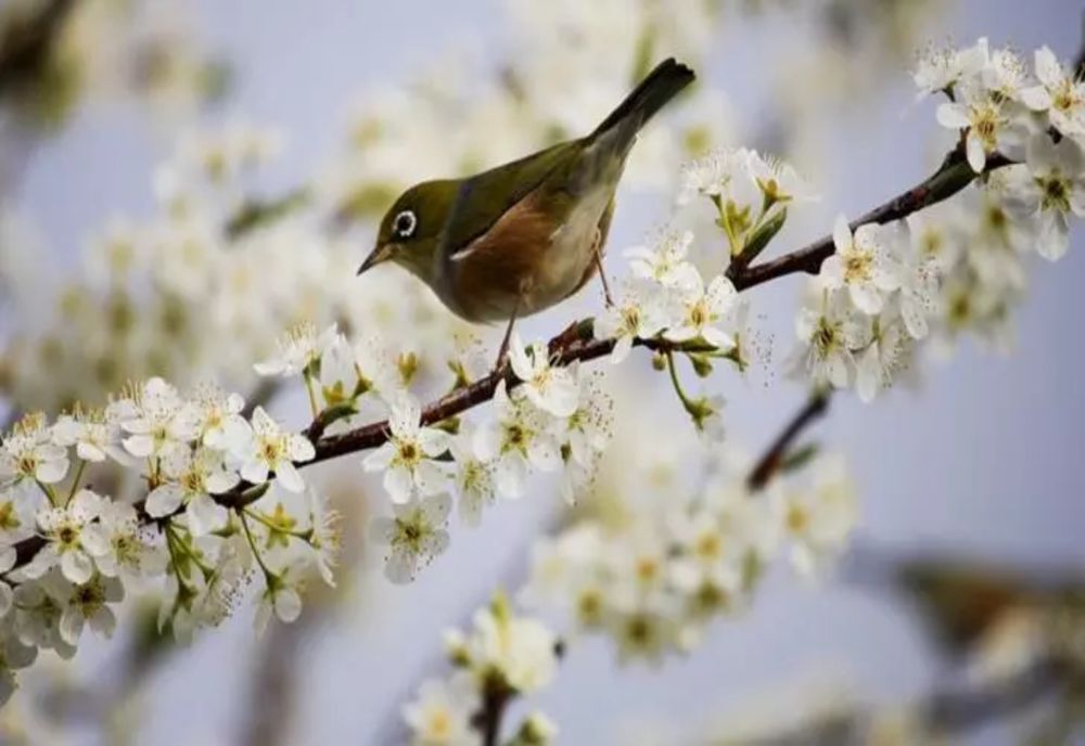 Aer tropical peste România: zonele unde temperaturile urcă la 22 de grade. Prognoza pe două săptămâni