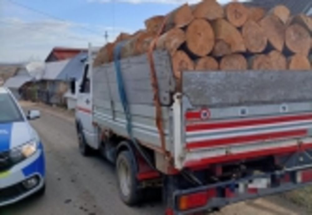 Transporta material lemnos fără documente legale