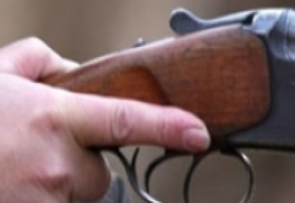 Armament deținut ilegal, găsit la locuința unui bărbat din Neamț