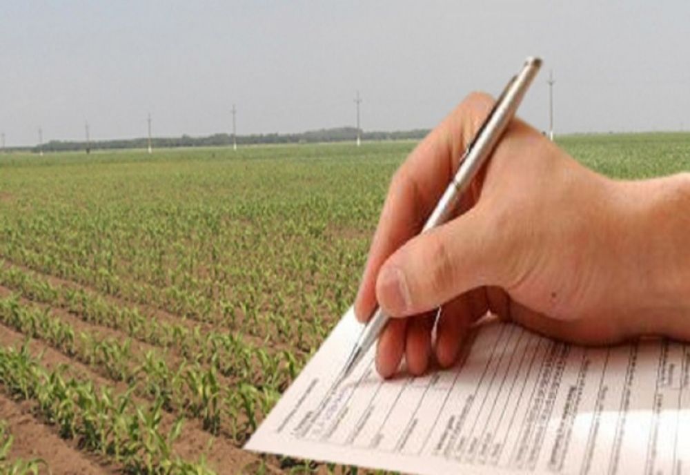  31 mai 2023, noul termen pentru depunerea cererilor de plată pentru anul 2023