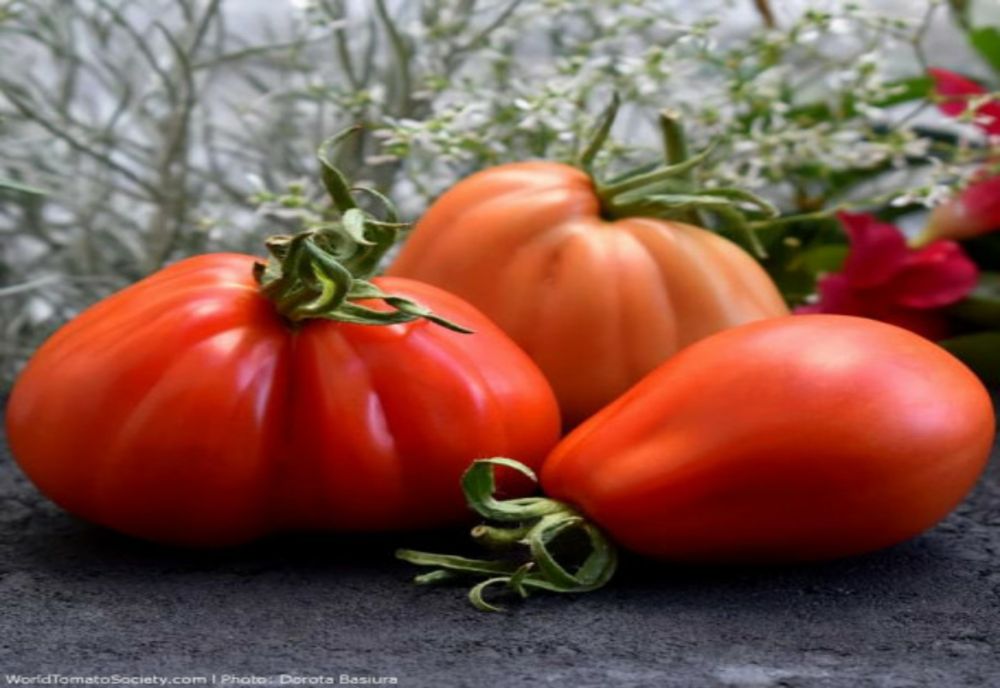 De ce este recomandat să bei un pahar de suc de roșii în fiecare zi