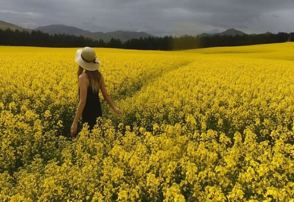 Temperaturi ridicate astăzi, va fi mai cald decât în mod obișnuit. Sunt anunțate și ploi