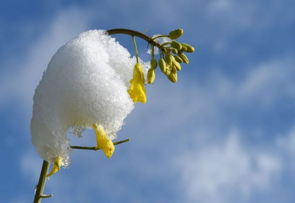 VREMEA 24 IANUARIE. TEMPERATURILE RĂMÂN RIDICATE ÎN TOATĂ ȚARA