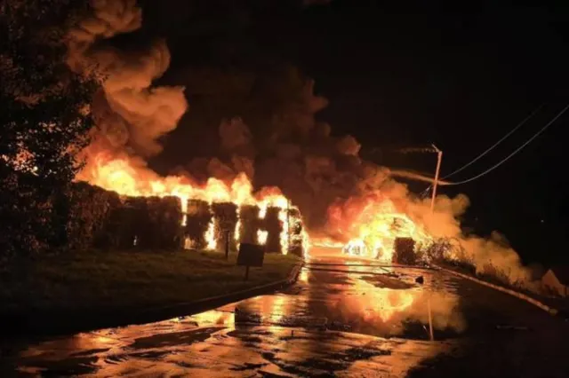 Adăpost de animale distrus de un incendiu la Neamț! Zece păsări au murit, iar o mamă cu patru copii a fost reținută