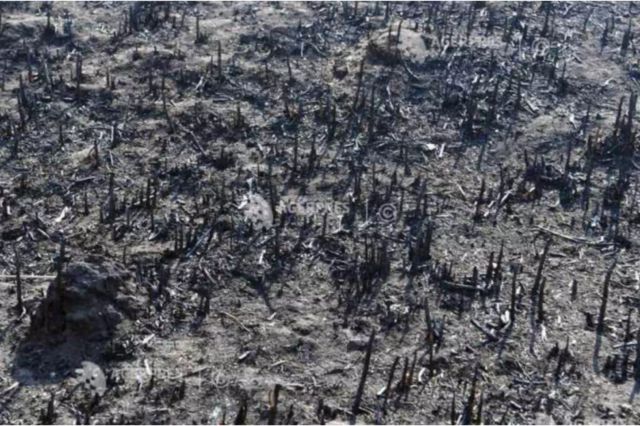 Incendiu masiv de vegetație în județul Neamț. Zeci de hectare sunt mistuite de flăcări