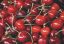 Prețul cireșelor a luat-o razna! Cu cât se vinde kilogramul în piețe