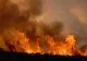 NEAMȚ: Intervenții pentru stingerea a 4 incendii de vegetație, în ultimele 24 de ore