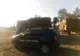 Transport ilegal de lemn, depistat de Garda Forestieră