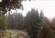 Prima ninsoare a venit mai devreme decât ne așteptam (VIDEO)