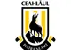 Cinci juniori de la CSM Ceahlăul, testați pentru loturi naționale
