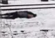 Chinez găsit mort în Neamț (FOTO)