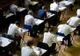 Simularea examenului de bacalaureat, rezultate