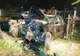 7 accidente rutiere cu victime în ultimele zile (FOTO)