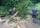 Un copac rupt de furtună a blocat circulația pe ambele sensuri (FOTO)