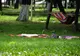 Duminică, 18 august, tot Romanul iese la picnic în Parcul Municipal!