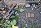 Captură inedită a unui pescar. A găsit un pistol pe malul râului Bistrița (FOTO)