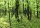 A doua femeie rătăcită în pădure, găsită de forțele de intervenție