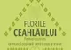 Festivalul Florile Ceahlăului, la etapa înscrierilor