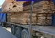 Prins transportând zeci de metri cubi de cherestea fără acte