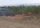 Weekend-ul incendiilor de vegetație uscată. Zeci de hectare făcute scrum (FOTO)