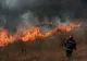 Peste 630 de hectare de vegetație, distruse de incendii de la începutul anului