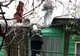 Incendiu, pornit de la un coș de fum, stins de pompierii voluntari