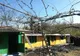 Incendiu de la un coș de fum. Proprietarii au suferit atac de panică (FOTO)
