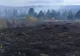 4,5 ha fond forestier și 5 ha vegetație uscată incendiate intenționat în Bicaz