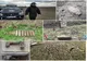 147 de elemente de muniție, descoperite pe teritoriul județului Neamț de la începutul anului