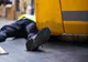 16 accidente de muncă, dintre care unul mortal, în luna iunie,în Neamț