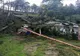 Efectele furtunii de ieri: curți inundate, arbori doborâți și peste 1.000 de locuitori rămași fără curent electric