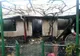 Incendiu la o gospodărie din Neamț! Care a fost cauza