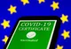 Un tânăr a folosit Certificatul Verde al altcuiva. S-a ales cu dosar penal
