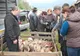 Amenzi de peste 6.000 de lei aplicate de polițiști în târgurile de animale