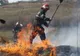 Mai multe hectare de vegetație uscată făcute scrum de un incendiu