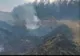 Incendiu de vegetație la Gâdinți