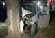 După ce a băut bine, a furat o mașină cu care s-a oprit într-un copac