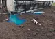 Sectorul de drum DN2-E85, în localitatea Secuieni este blocat. Pericol de explozie