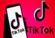 REPREZENTANȚII TIKTOK, AUDIAȚI ÎN PARLAMENTUL EUROPEAN ÎN LEGĂTURĂ CU ALEGERILE DIN ROMÂNIA